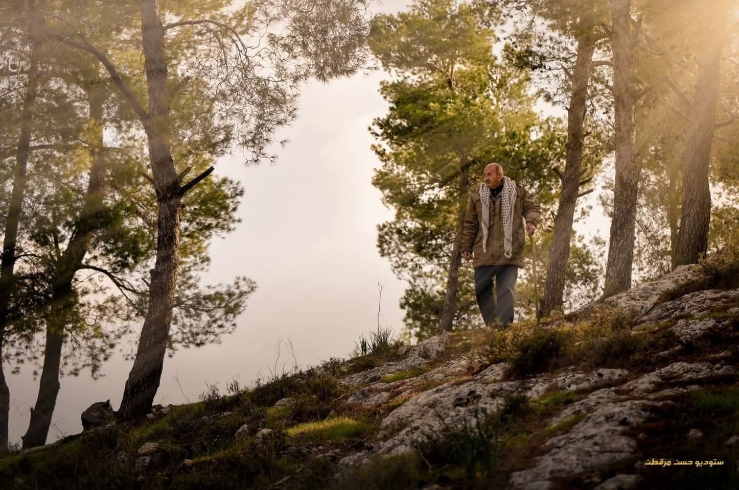 الخليل | موسوعة القرى الفلسطينية